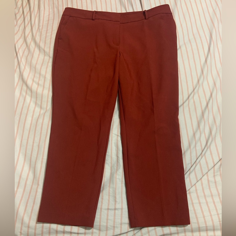 Brand new Ann Taylor Factory Dress Pants